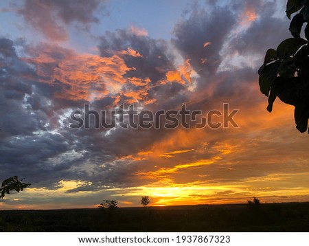 Similar – Image, Stock Photo Sunrise after rain
