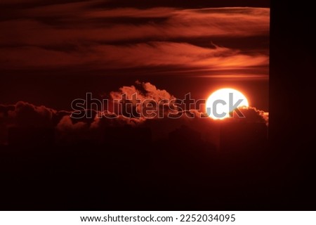 Similar – Silhouette of a field of sunflowers at sunset