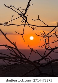 Sun setting behind bare tree branches creating silhouette