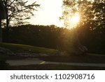 sun setting behind beautiful old tree