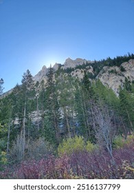 Sun setting behind mountain with trees