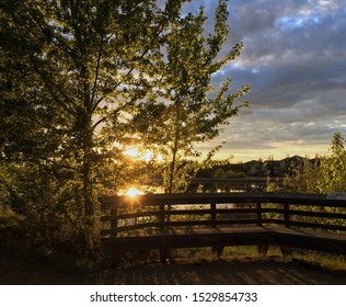 Sun setting behind a tree and below the clouds on a twilight evening