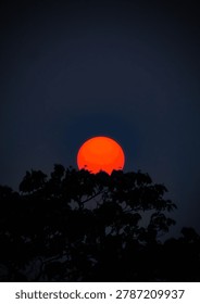 Sun setting behind a tree line