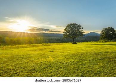 The sun is setting behind the trees.