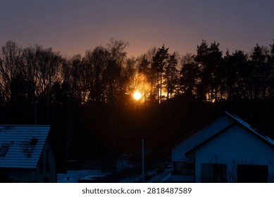 sun setting behind the trees