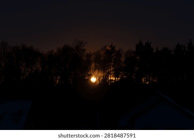 sun setting behind the trees