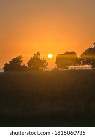 Sun setting behind trees over a lake 