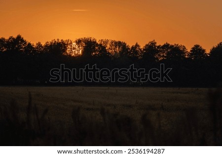 the sun setting behind the trees over the field