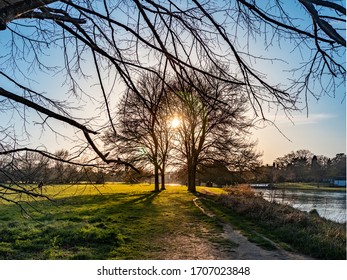 sun setting behind two trees riverside