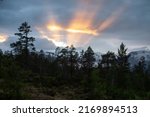 Sun setting down behind clouds. Sun rays in the sky. Trees silhouettes in the foreground and an evening sky.