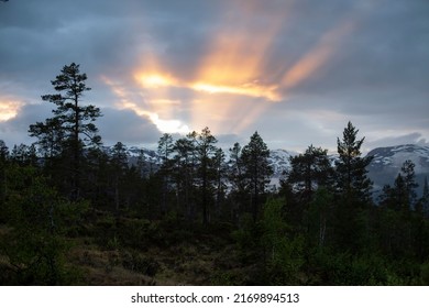 Sun setting down behind clouds. Sun rays in the sky. Trees silhouettes in the foreground and an evening sky.