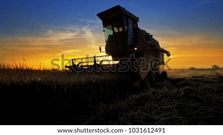 The sun setting down with combine farmer harvesting on rice field
