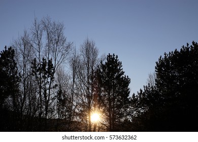 Sun is setting in the forest