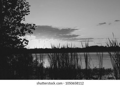 Sun Setting On Lake Rousseau In Citrus County FL