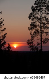 Sun setting over dark forest