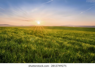 Sun Setting Over Endless Green Grass Field with Distant Hills