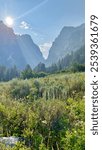 Sun setting over a meadow in Death Canyon in Grand Teton National Park 