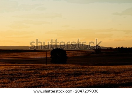 sun setting over mount remarkable, in golden hour giving the crops a golden tinge.