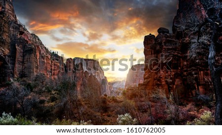 The sun setting over the mountains on a trail in Zion National Park, Springdale, Utah, USA.