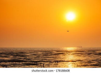 Sun setting over the ocean.