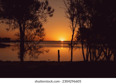 Sun setting over the river between the trees