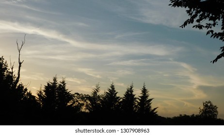 Sun setting over the trees