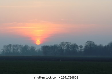 Sun setting over the trees