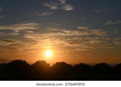 The sun setting over the trees.
