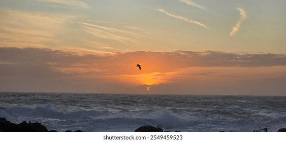 Sun setting in thick clouds with bird flying 