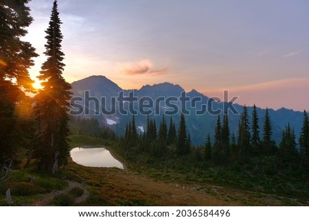 Sun setting through the trees up on Appleton Pass in the Olympic National Park