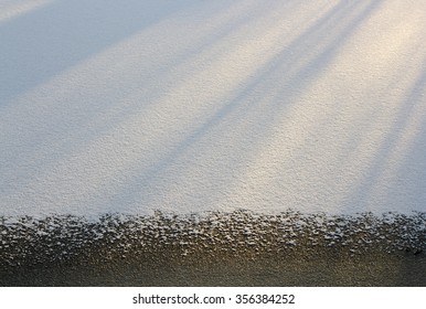Sun and shadow of the trees on the white snow.