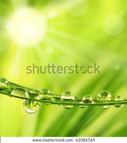 Similar – Image, Stock Photo Raindrops and sun rays on the garden chair