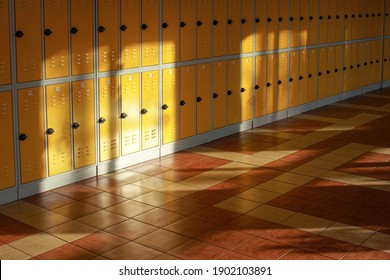 Sun Shines On Empty Elementary School Hall, Numbered Lockers At The Wall