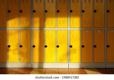 Sun shines on empty elementary school hall, numbered lockers at the wall