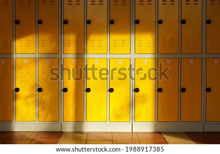 Sun shines on empty elementary school hall, numbered lockers at the wall
