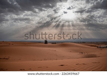 The sun shines on Merzouga desert.