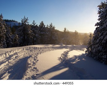 Sun Shines On Snow Mobile Trail Truckee Ca