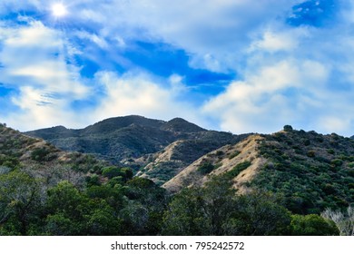 Sun shines over forest area