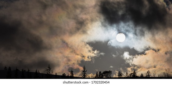 The sun shines through the clouds backlighting the trees