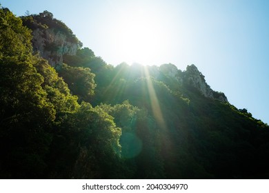  Sun shines through mountain and trees. Beautiful background, nature, summer time.