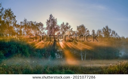 Similar – Image, Stock Photo Foggy river in the morning. Summer misty sunrise