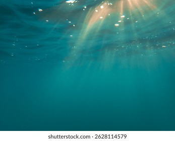 The sun shines through water, casting mottled light and shadow, intertwined with countless bubbles underwater, like a dance of light. Various aquatic, fish swimming in water in Mediterranean sea.