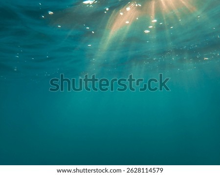 The sun shines through water, casting mottled light and shadow, intertwined with countless bubbles underwater, like a dance of light. Various aquatic, fish swimming in water in Mediterranean sea.