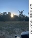Sun shining between trees in late afternoon. Taken in Julian California 