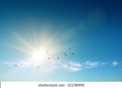 Sun shining and birds flying over a heavenly blue sky