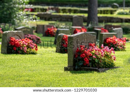 Sun shining on gravestones with red and pink flowers on a beautiful and well cared cemetery in Sweden