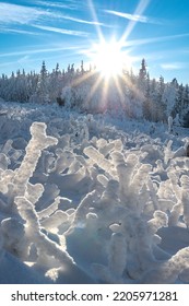 Sun Shining On The Snow Covered Land