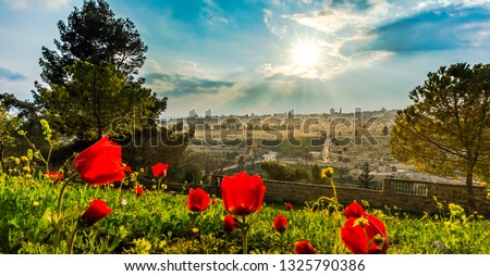 Sun shining over the Old City of Jerusalem: Temple Mount with Dome of the Rock and St. Stephen (Lions) Gate; view from the Mount of Olives with calanit - red anemone flowers, national flower of Israel Stock photo © 