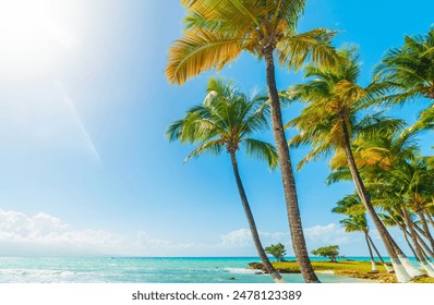 Sun shining  over a tropical beach with palm trees and tuquoise water in the Caribbean sea - Powered by Shutterstock