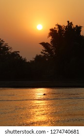 Sun shining in the river